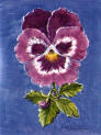 Pansy - Capricorn
